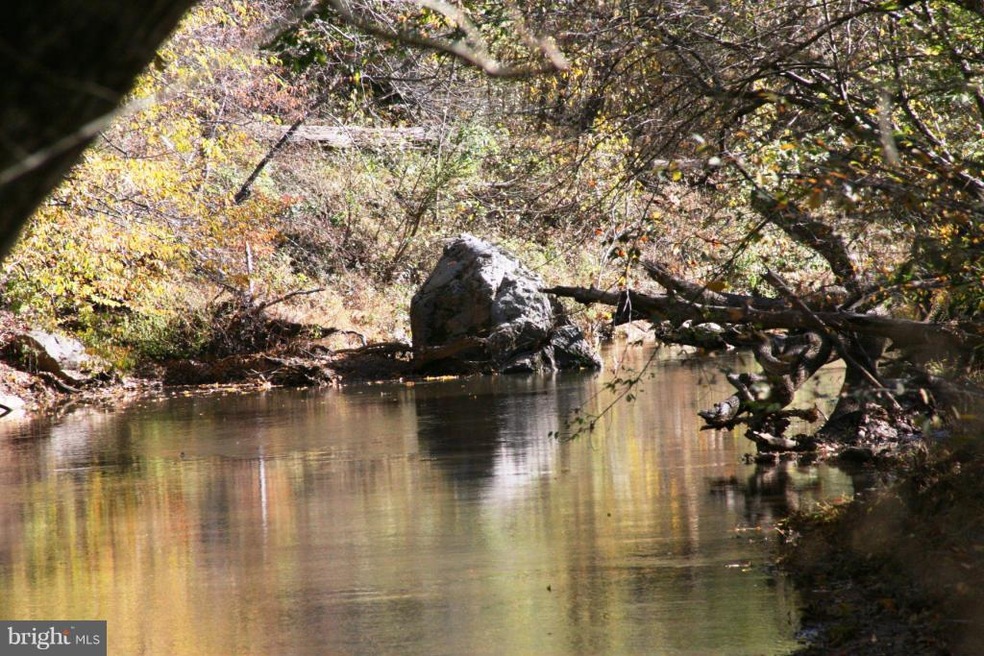 10598 Hickory Hill Ln, Rixeyville, VA 22737 - photo 1