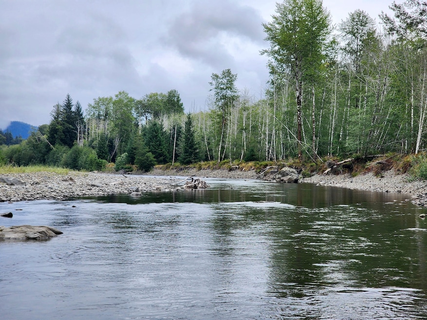 0 Dowan Creek Rd unit 24767132, Forks, WA 98331 - photo 1