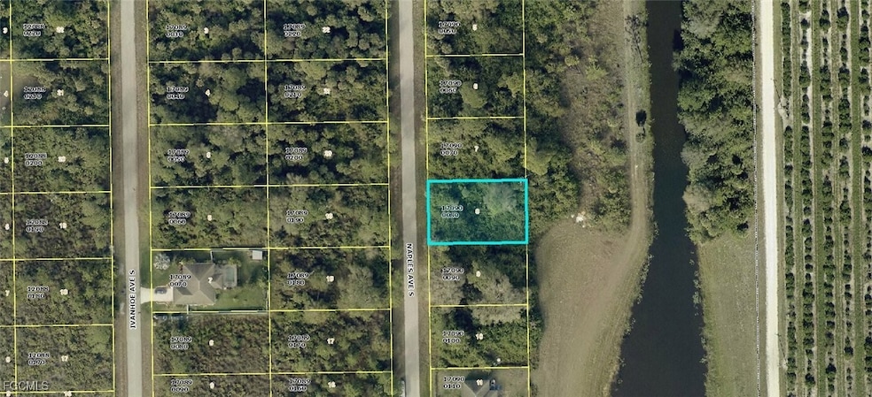 643 Naples Ave S, Lehigh Acres, FL 33974 - photo 1