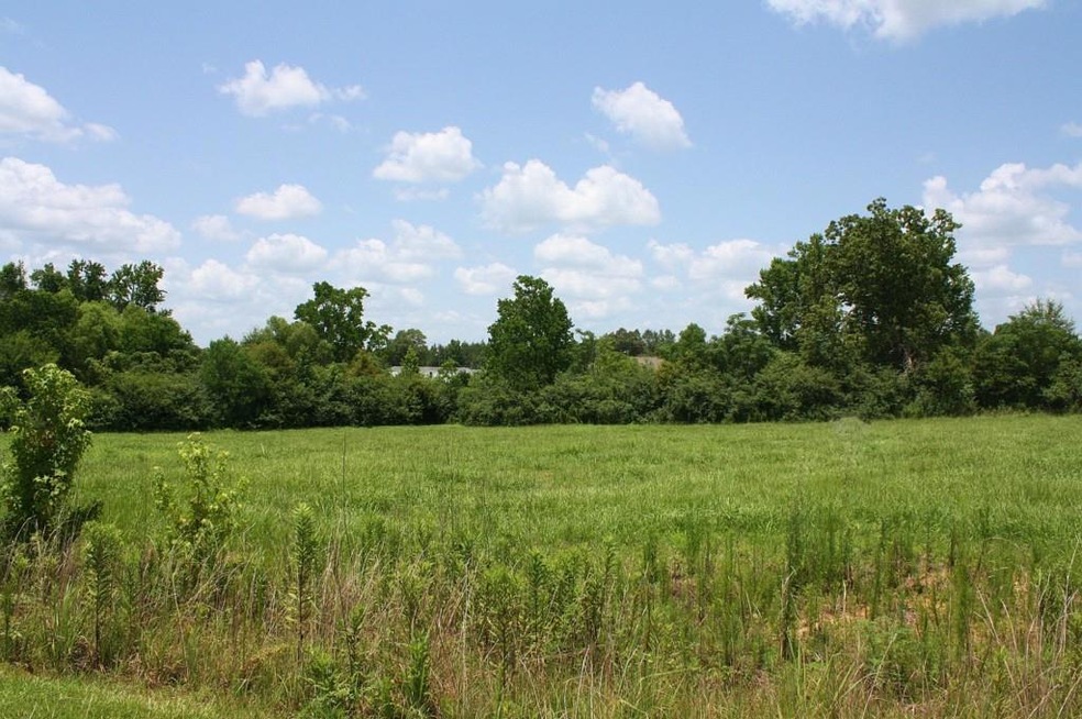 Lot 59 Sundance Ln, Franklinton, LA 70438 - photo 1