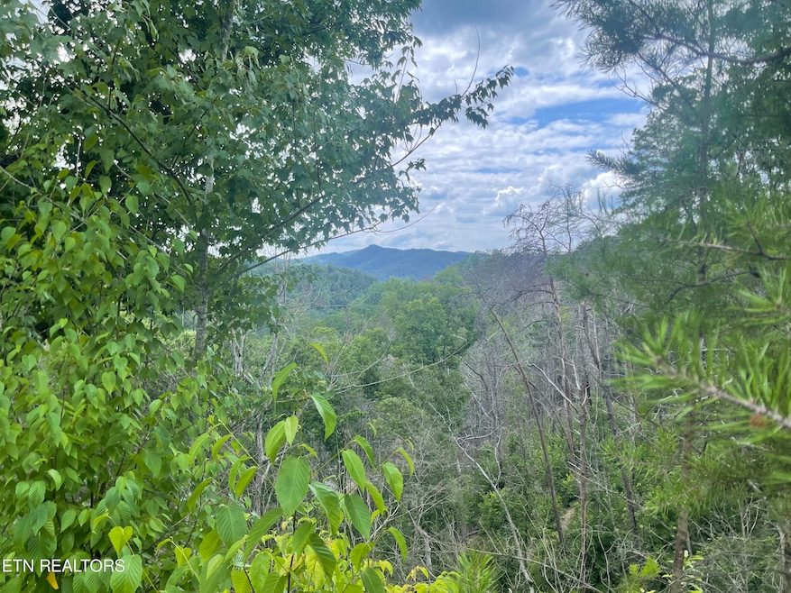 0 River Birch Way unit 1268846, Sevierville, TN 37862 - photo 1