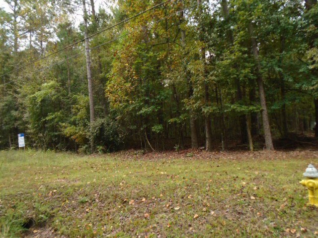 5540 Arkwright Rd, Macon, GA 31210 - photo 1