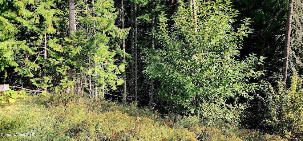 0 Alder 1