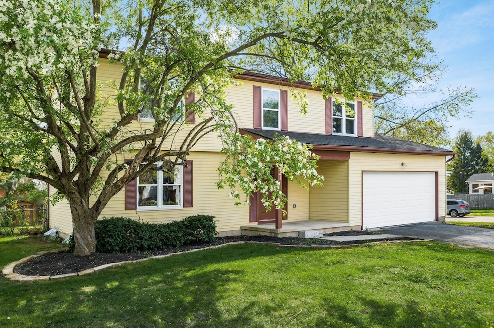 001_a_6341 Fence Row Ln-117-2