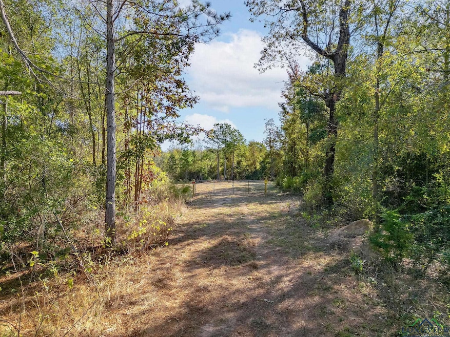 TBD N Fm 161, Hughes Springs, TX 75656 - photo 1