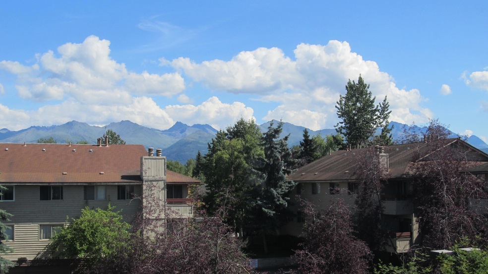 Mountain Views