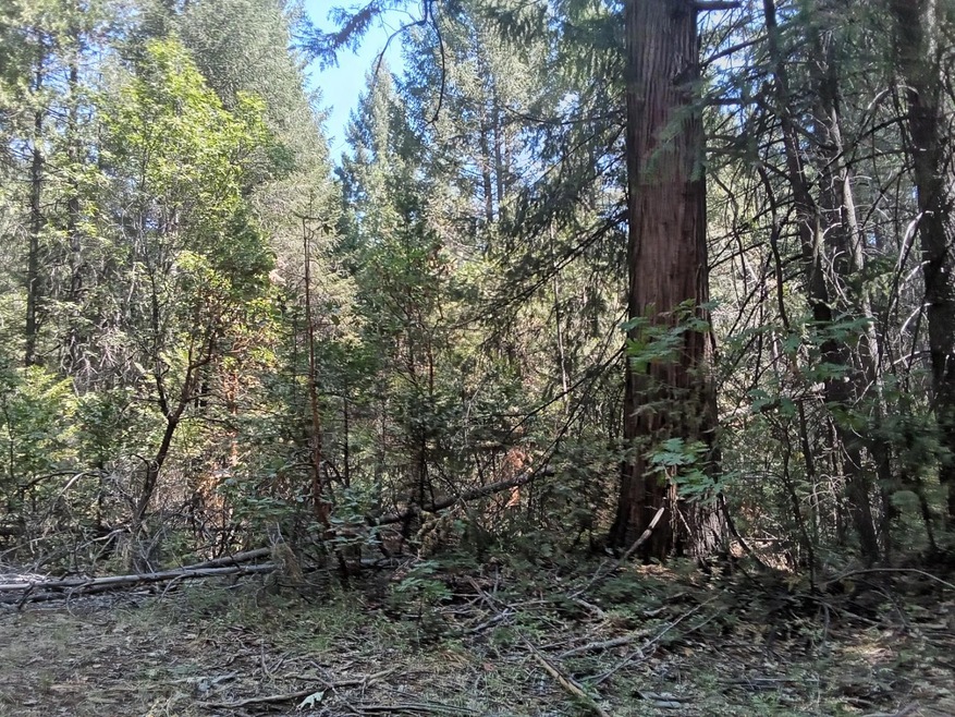 0 Just Rd unit 225114099, Iowa Hill, CA 95713 - photo 1