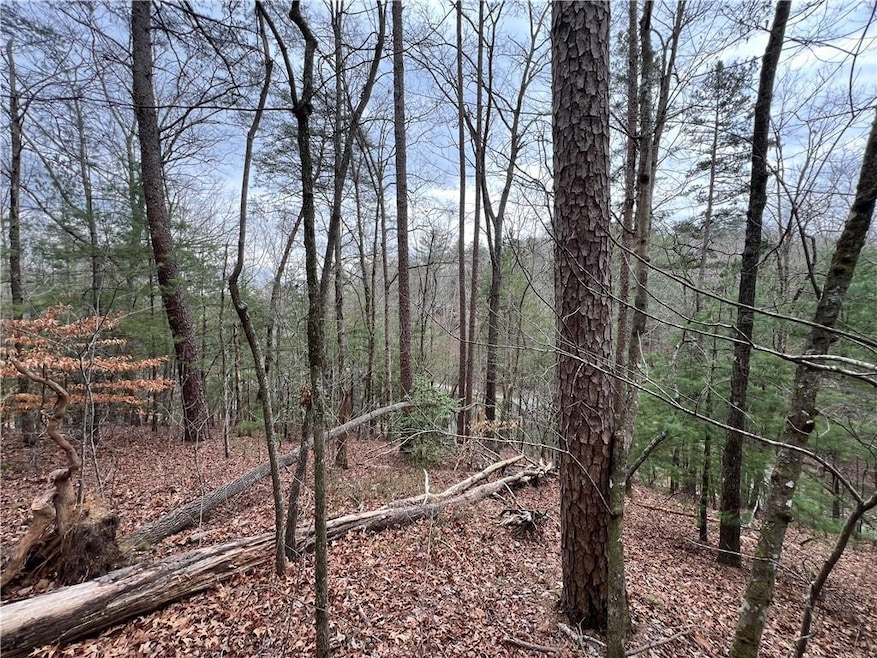 View of landscape featuring a view of trees