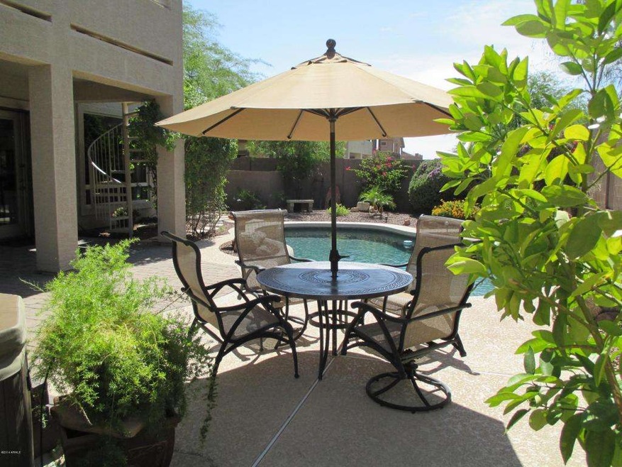 Backyard paradise