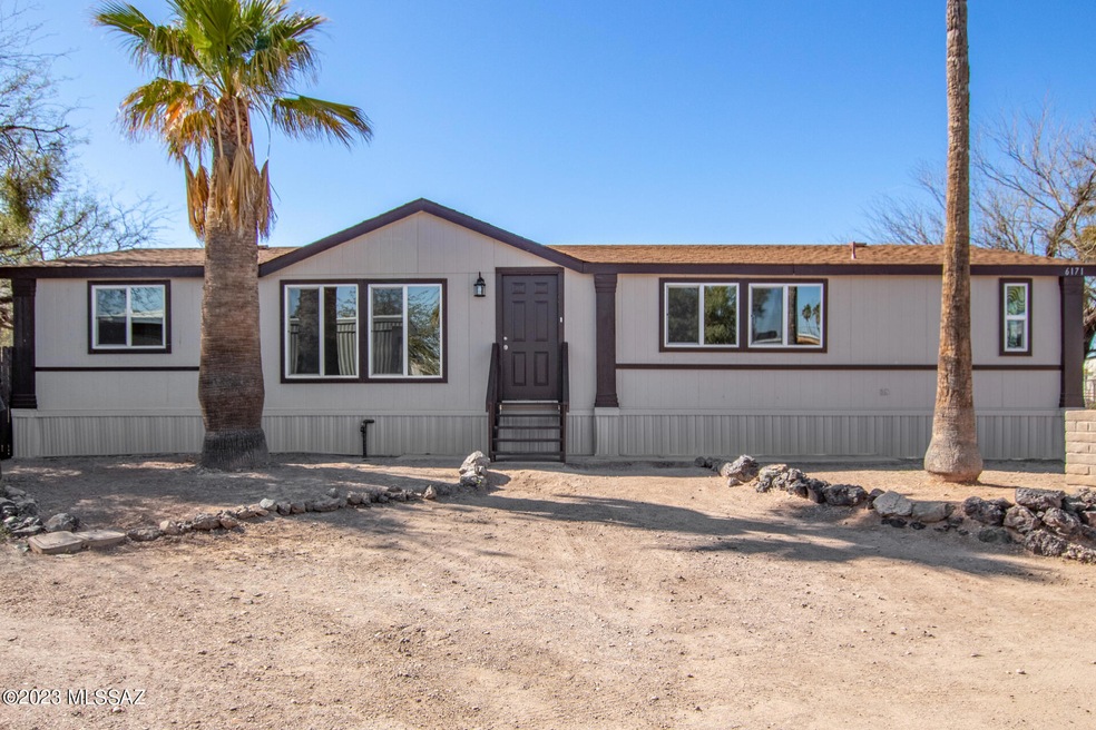 0004-01 Elm Tree 6171