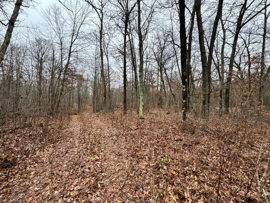 Sold $49,900 • Co-Listing Agent