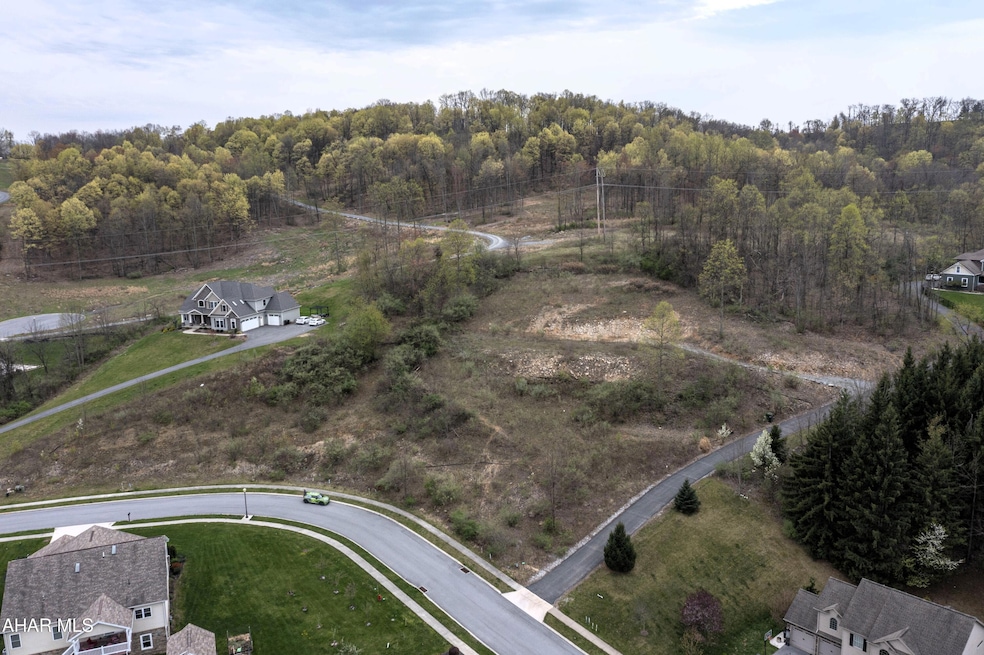 DJI_0256