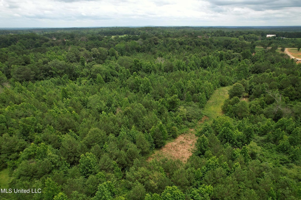58+/- Acres in Smith County