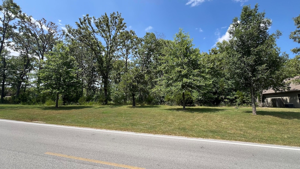 Lot 59 Fox Hollow Rd, Ruth C Township, MO 65737 - photo 1