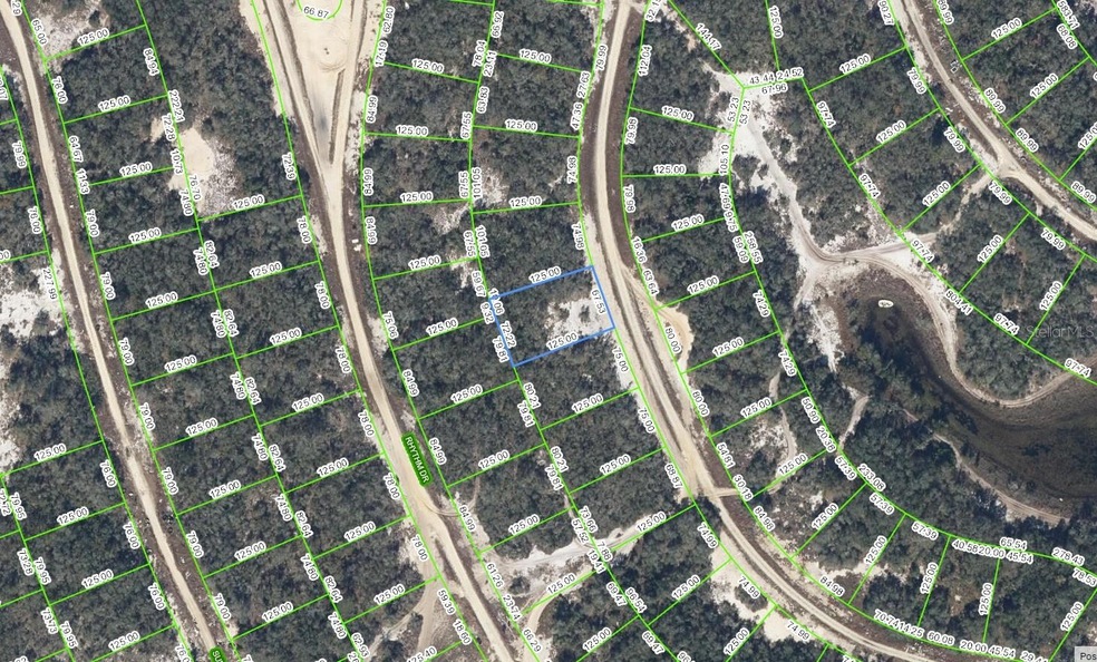 226 Dargen Dr, Lake Placid, FL 33852 - photo 1