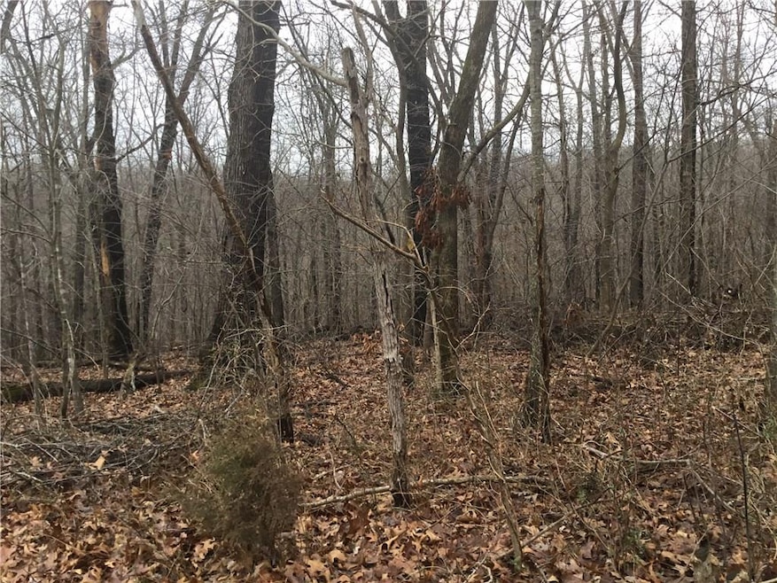 0 Hollym Cir unit 1137511, Bella Vista, AR 72715 - photo 1