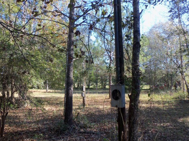 000 County Line Rd, Camilla, GA 31730 - photo 1