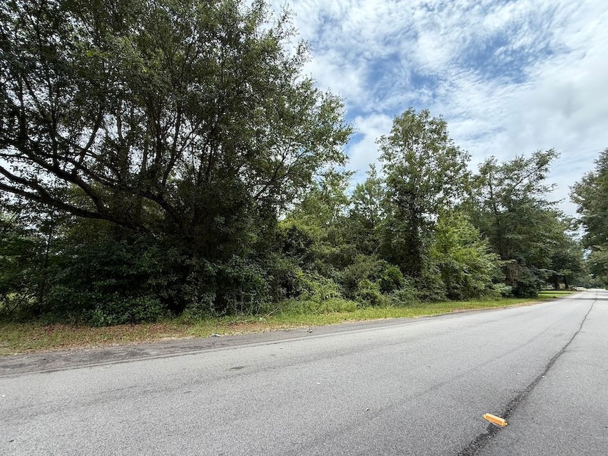 Summer Dr unit LotWP002, Barnwell, SC 29812 - photo 1