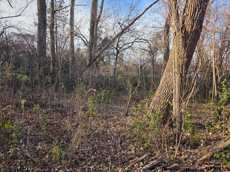 tbd Mad Hatter Ln, Township 1, NE 68142 - photo 1