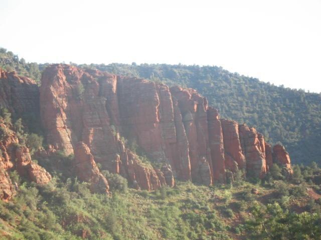 Primary Photo