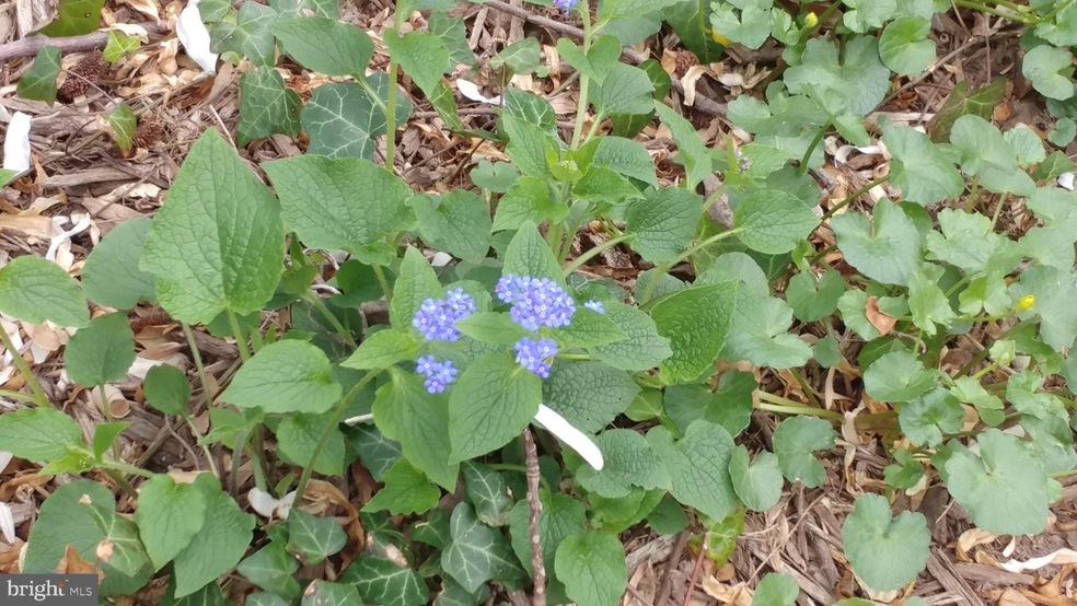 5 Upland Rd, Baltimore, MD 21210 - photo 1