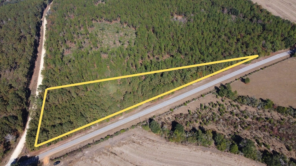 001 Open Pond Rd, Florala, AL 36442 - photo 1