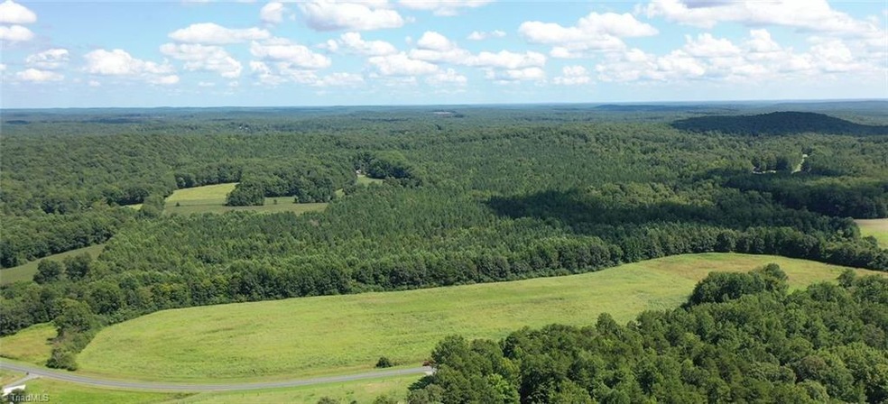 00 Pisgah Covered Bridge Rd, Asheboro, NC 27205 - photo 1
