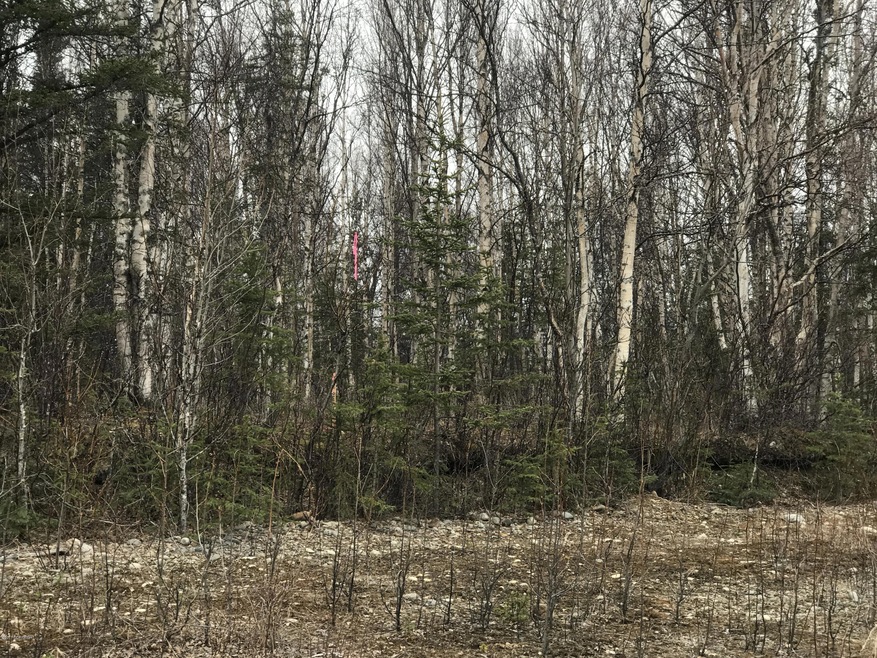2017-04-24 11.41.36-1