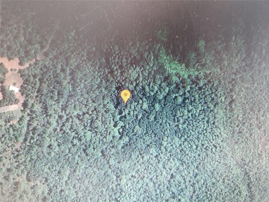 0 Holopaw Groves Rd unit MFRS5129802, Saint Cloud, FL 34771 - photo 1