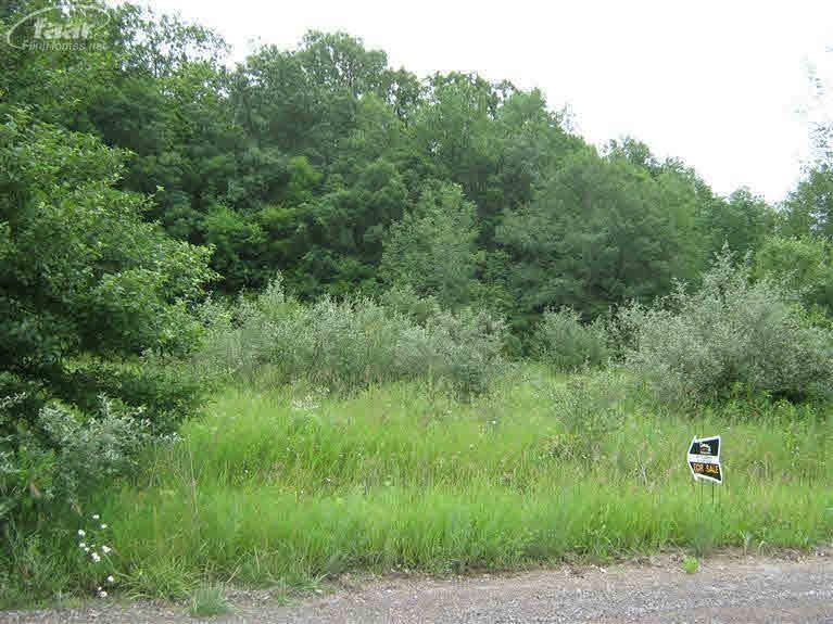 8350 Butternut Creek Dr, Mount Morris, MI 48458 - photo 1