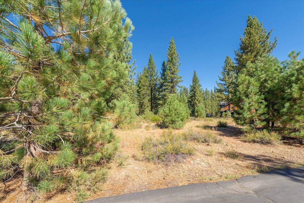 11272 Wolverine Cir, Truckee, CA 96161 - photo 1