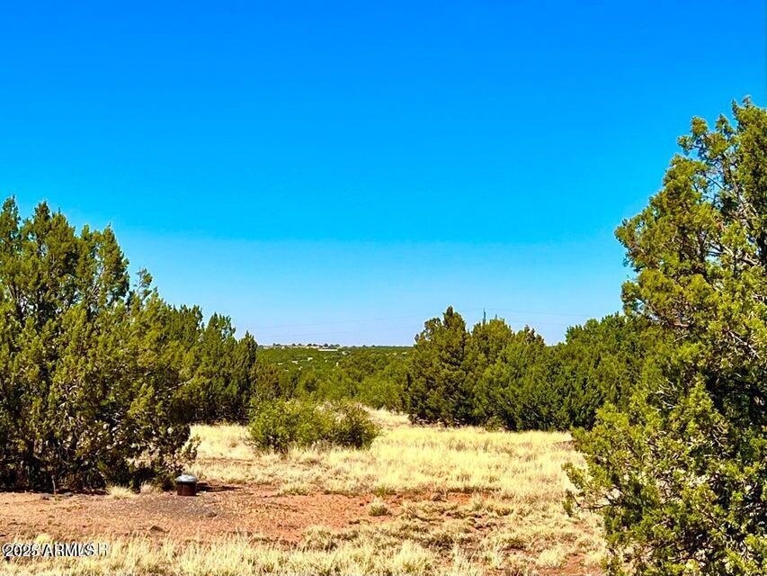 20250516095440620391000000-o