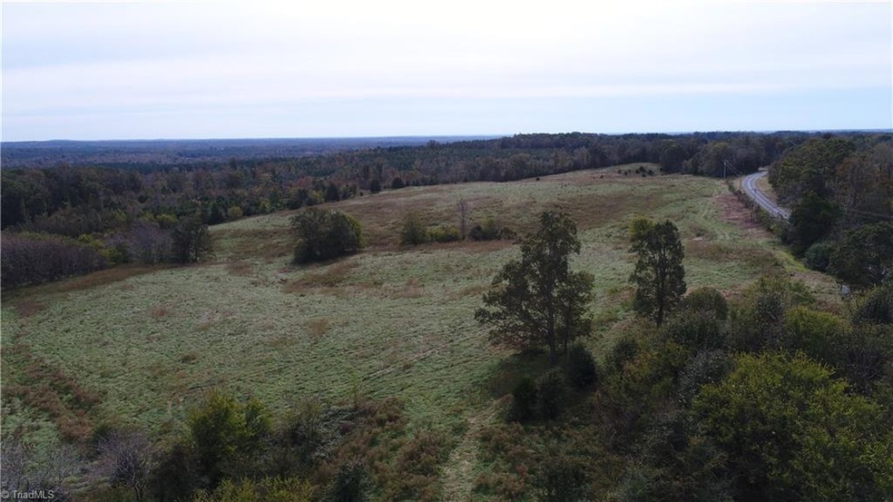 000 Old Coleridge Rd, Siler City, NC 27344 - photo 1