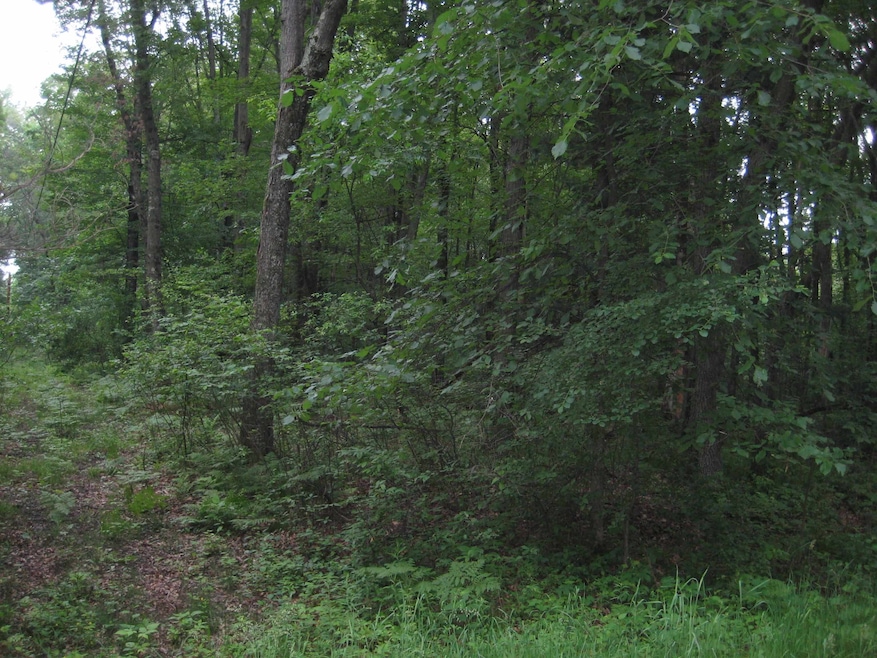 Lot 4 Algoma St unit Badger Avenue, Stevens Point, WI 54482 - photo 1