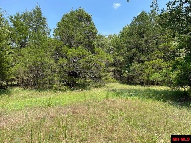 0 Lago Ln, Elizabeth, AR 72531 - photo 1