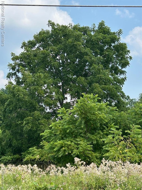 5438 N Henderson Rd, Davison, MI 48423 - photo 1