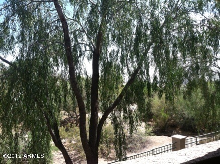 Balcony View into Desert Wash