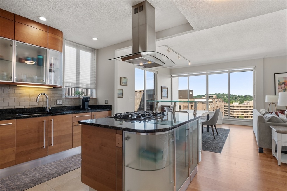 The Brook House unit 1216, Brookline, MA 02445 - photo 1