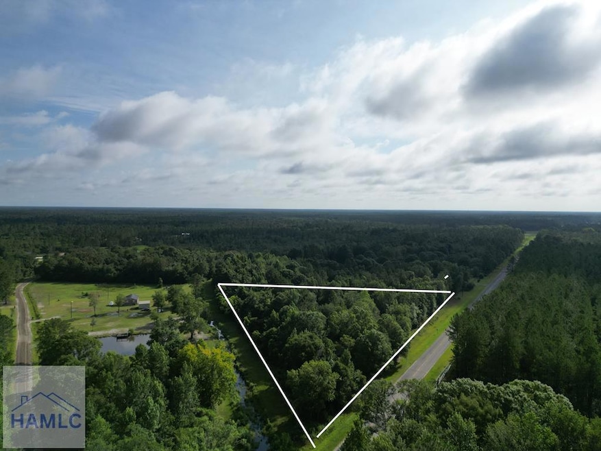 00 Hodges Rd, Hinesville, GA 31313 - photo 1