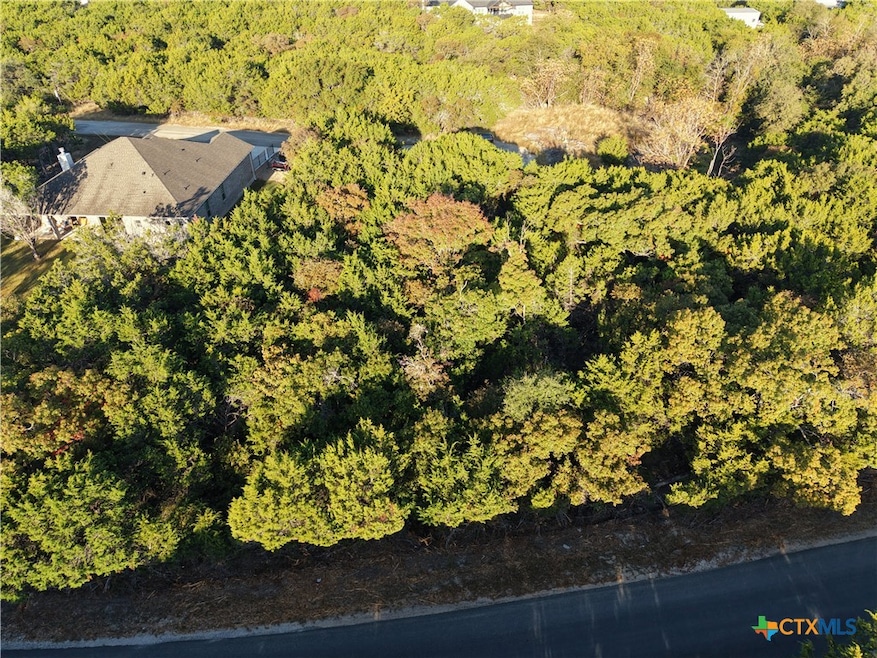 15723 Salado Dr, Temple, TX 76502 - photo 1