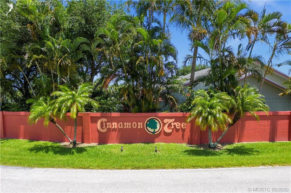 Desirable Cinnamon Tree