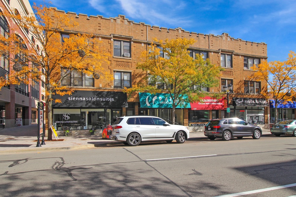 125 N Addison Ave unit 3, Elmhurst, IL 60126 - photo 1