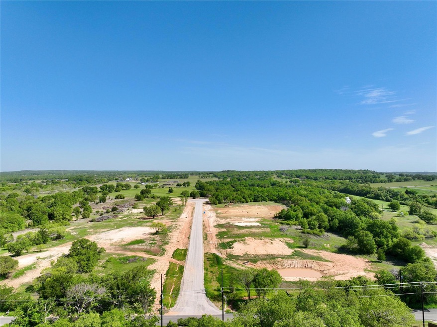 Lot 14 Dubois Rd, Poolville, TX 76487 - photo 1
