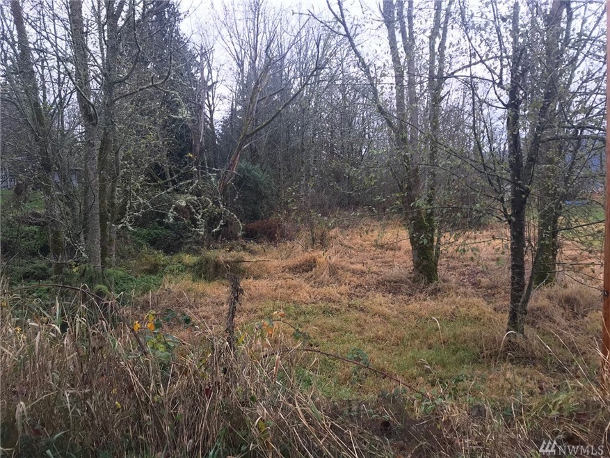 18017 158th Ave SE, Yelm, WA 98597 - photo 1