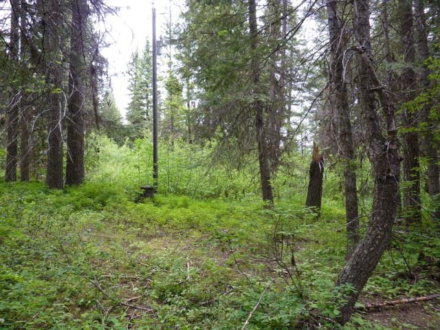 580 Teepee Rd unit 48, 49, Cascade, ID 83611 - photo 1