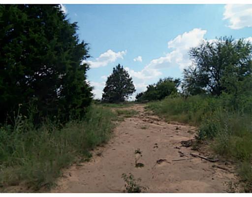 Land. Tail/road into the property