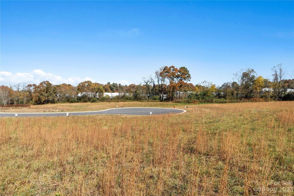 125 Scott Meadows Dr, Asheville, NC 28806 - photo 1