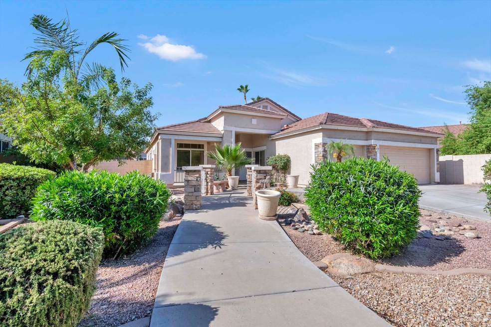 3289 E Clark Drive Gilbert AZ