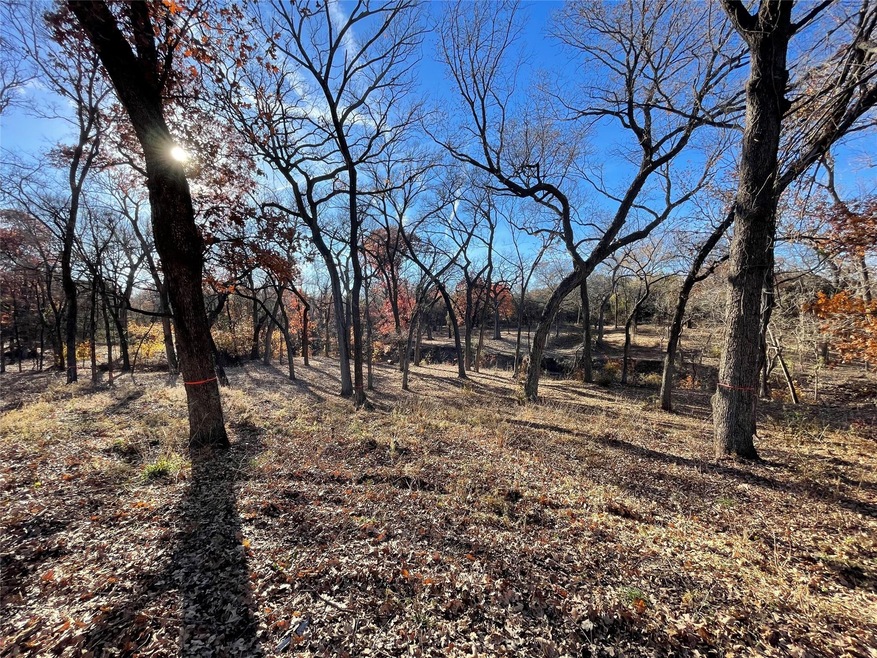 4028 Fall Creek Dr, Brock, TX 76087 - photo 1