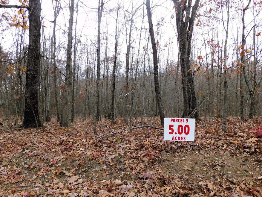 5 (P9) Brights Rd, Gretna, VA 24557 - photo 1